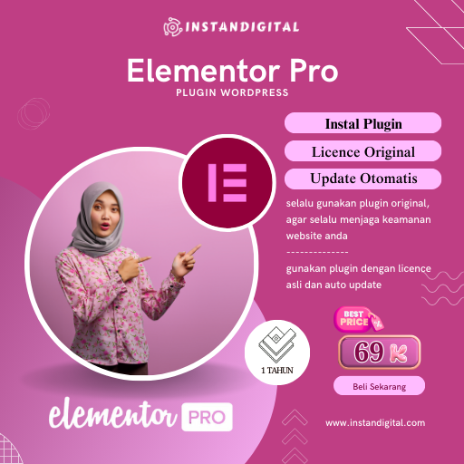 Elementor Pro